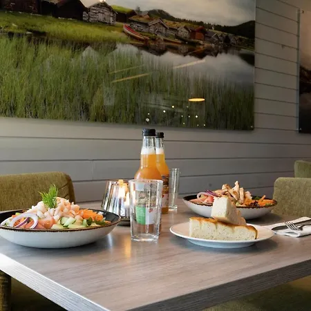 Frich'S Hotell Og Spiseri Alvdal